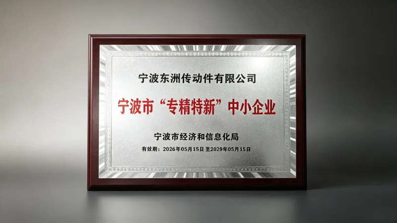 Společnost Ningbo Dongzhou Transmission Co., Ltd. získala od Ningbo City status „specializovaného a sofistikovaného“ MSP